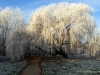 Winterwonderland-19